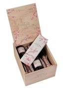 Deutz - Brut Rosé Sakura in geschenkverpakking - 6 x 0.75L - n.m.