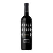 Alpasión - Grand Malbec - 0.75L - 2021