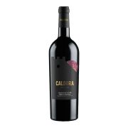 Caldora - Terre d’Abruzzo Sangiovese   - 0.75L - 2024