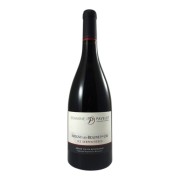 Domaine Jean-Marc & Hugues Pavelot - Savigny-lès-Beaune Premier Cru Les Serpentières  - 0.75L - 2022