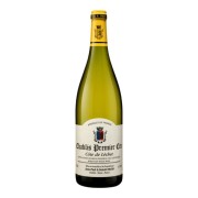 Domaine Jean-Paul & Benoît Droin - Chablis Premier Cru Côte de Léchet - 0.75L - 2023