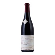 Domaine Michel Gros - Hautes Côtes de Nuits Fontaine Saint Martin Monopole Rouge  - 0.75L - 2022