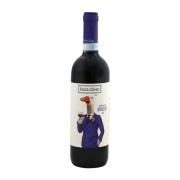 Fasoli Gino - Valpolicella Ripasso BIO  - 0.75L - 2021