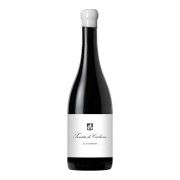 Tenuta di Carleone - Il Guercio - 0.75L - 2021