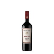 Tenuta Sant’Antonio - Valpolicella Ripasso Monti Garbi  - 0.375L - 2021
