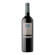 Vall Llach - Embruix de Vall Llach  - 0.75L - 2022