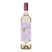 Dürnberg - Blanc de Noir Zweigelt Rosé  - 0.75L - 2023