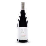 Weingut Paul Achs - Gols Ried Ungerberg Blaufränkisch - 3L - 2017