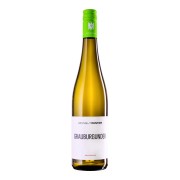 Weingut Winter - Grauburgunder  - 0.75L - 2024