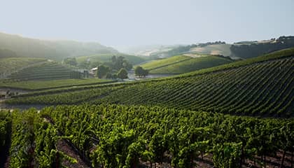 vin l'aventure