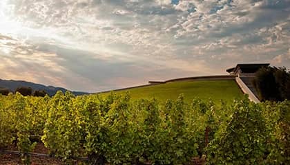 opus one
